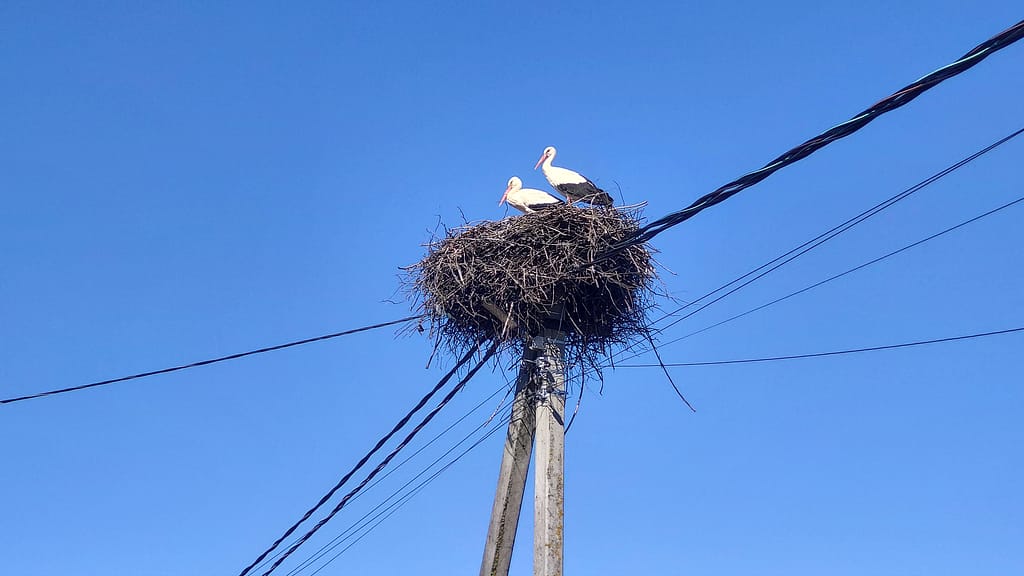 наконец-то забрали водосточные крюки 3 IMG 20250402 125157